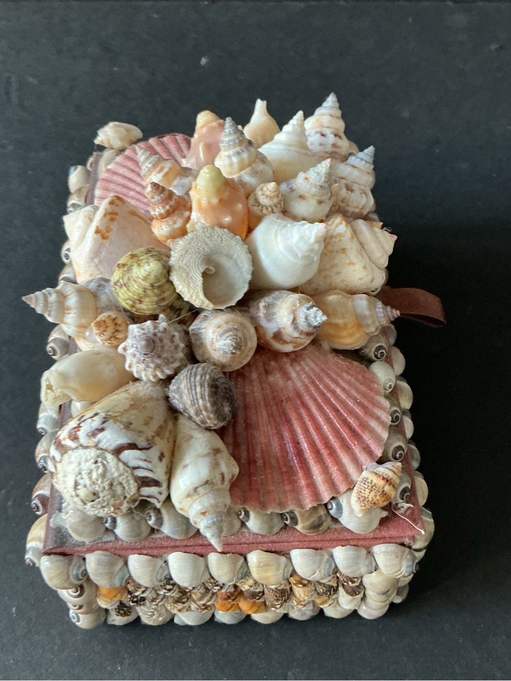 Seashell Accent Box in Pink and Cream — Decorative Home Accent - Picture 2 of 5